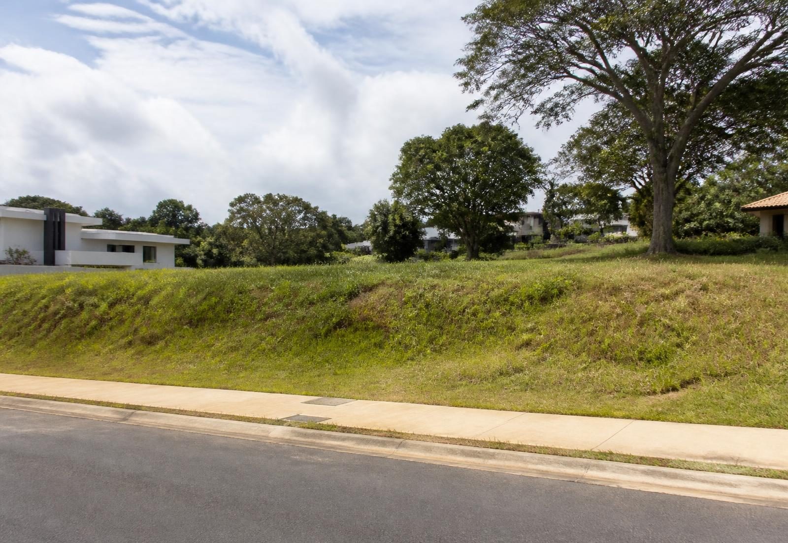 Terreno vazio em condomínio residencial de alto padrão, com rua pavimentada e vegetação natural