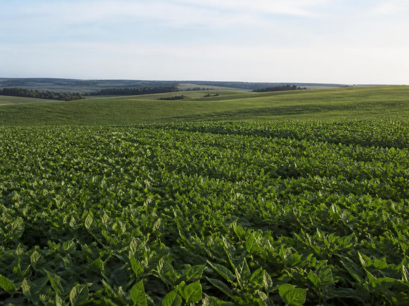 Área agrícola produtiva em propriedade rural brasileira