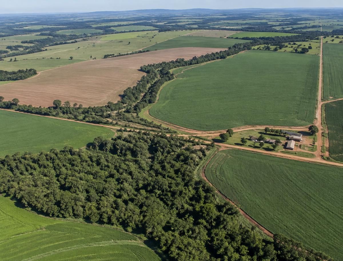 Fazendas para Agropecuária